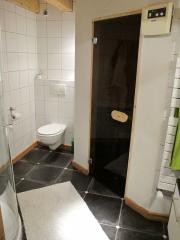 Chalet Tam and Apartment - Shower room with sauna
