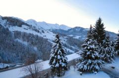 Chalet Chamois - The winter view