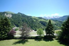 Chalet Chamois - The garden and summer view (1)