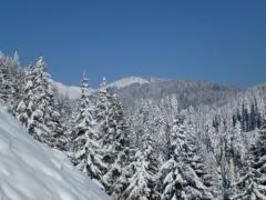 Chalet Le Chant de la Cascade - 