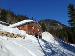 Chalet Le Chant de la Cascade - 