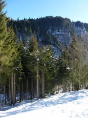Chalet Le Chant de la Cascade - 