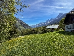 Ferme des Chavaux - 