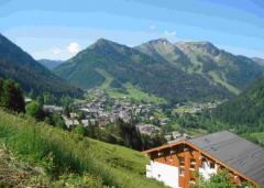 Chalet Les Chouettes - Summer views