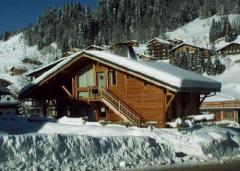 Chalet du Coin - The back of the chalet, in wintertime