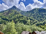 Chalet Rives de Dranse - 