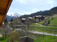 Chalet Étoile des Neiges - The view (2) from the chalet