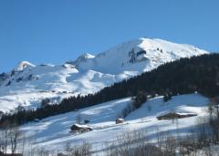 Demi Chalet La Cascade - View of the pistes