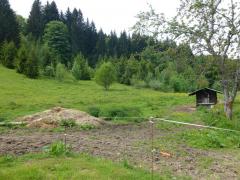 Ferme Balmotte - The adjacent land
