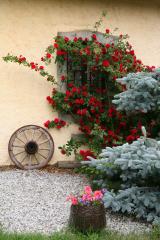 Ferme Bouchet - 