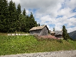 Ferme de Zore - 