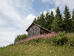 Ferme de Zore - 