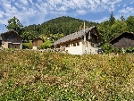 Ferme Les Meuniers - 