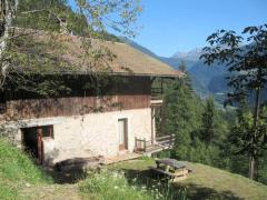 Ferme Sapin - Feme Sapin