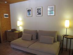 Chalet Le Chat Feroce old - 