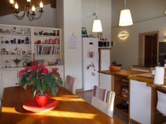 Chalet Le Chat Feroce old - 