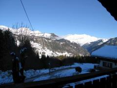 Chalet Gelinotte - View (2)