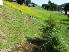 Appt. Les Girolles, 6 - The communal garden