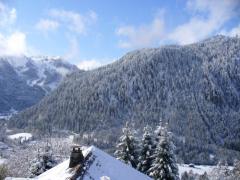 Chalet Iris - The view in winter