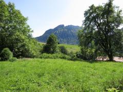 Ferme Le Jour Bleu - The garden (1)
