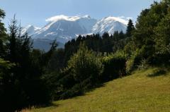 Ferme La Barmaz - Views of Mont Blanc from the garden