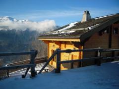 Chalet La Falaise - Chalet access and terrace