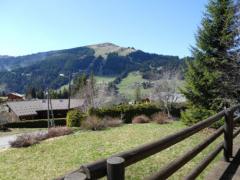 Chalet Lanchettes - The view towards Mont Chéry