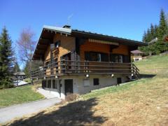 Chalet Lanchettes - The chalet, balcony and garden