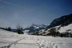 Land Praz Sur Arly - In winter