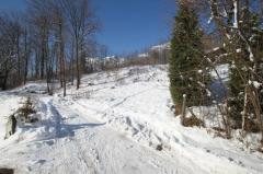 Land Les Grands Prés - The access road