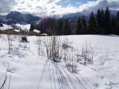 Terrain Sous Le Rocher - 