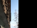 La Tataz - 