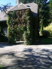 Maison Le Lavandan - Ivy clad entrance
