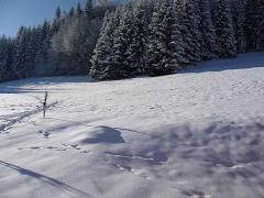 Chalet Laydevant - 