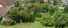 Maison de Morat - The garden (1)