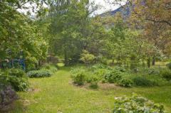 Maison Le Plan - The mature garden