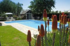 Maison Thusy - The swimming pool
