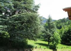 Appt. Le Maquis - Balcony view, to the south
