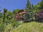 Domaine Le Martinet - 