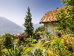 Domaine Le Martinet - 