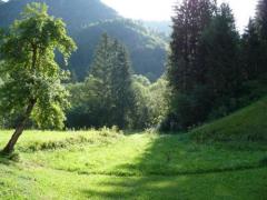 Land Les Martinettes - 
