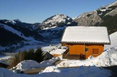 Chalet Matrix - Chalet Matrix and views to Abondance