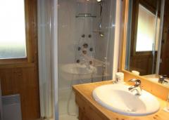 Chalet Monticello - Shower room