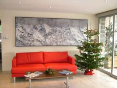 Morzine Hotel - Hotel entrance lobby