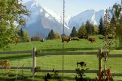 Chalet Nant Cruy - Views from the garden in summertime