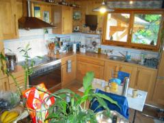 Chalet Odysseus - Apartment kitchen