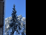 Chalet Papillon - 