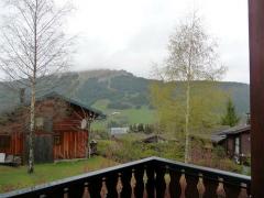 Chalet Les Pernettes - Views of the pistes from the balcony