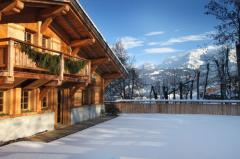 Chalet Le Perret - The chalet and garden