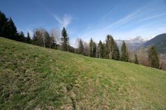 Terrain Les Recourbes, Lot 3 - The land